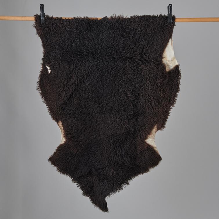 Kainuunharmas talja, lyhytkarvainen