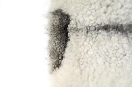 Iso kainuunharmas talja, vaalea 1