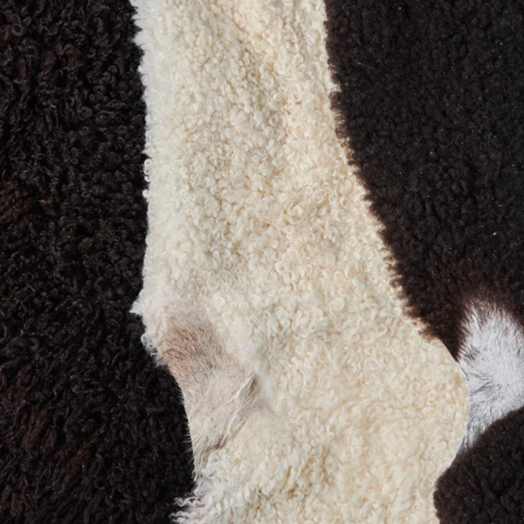 Kainuunharmas talja, lyhytkarvainen