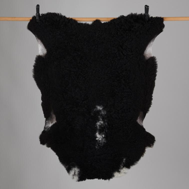 Iso kainuunharmas talja, mv1