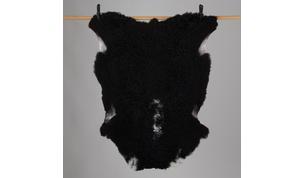 Iso kainuunharmas talja, mv1